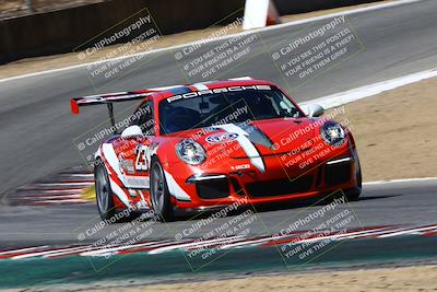 media/Aug-07-2022-Speed SF (Sun) [[e575f3050c]]/Gold Group/Session 2 (Turn 6)/